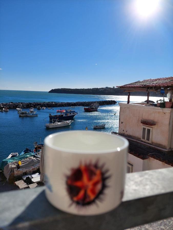La Terrazza Di Maria Διαμέρισμα Προτσίντα Εξωτερικό φωτογραφία
